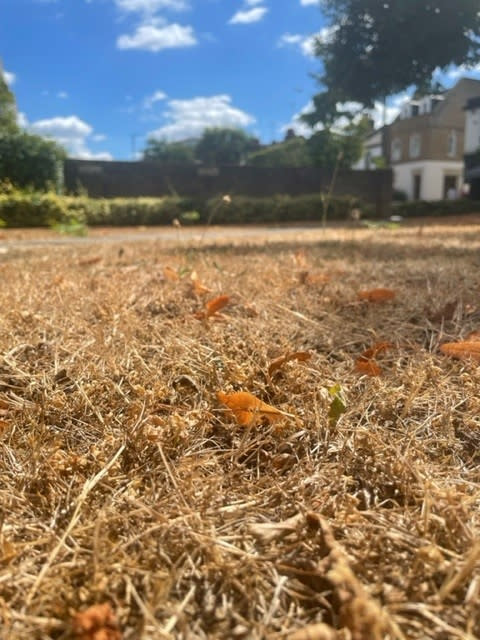 A dried-out front garden in South West London as parched parts of England are facing a hosepipe ban amid very dry conditions and ahead of another predicted heatwave. Months of little rainfall, combined with record-breaking temperatures in July, have left rivers at exceptionally low levels, depleted reservoirs and dried out soils. Picture date: Friday August 5, 2022.