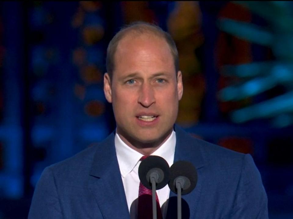 Prince William on stage at the jubilee concert (BBC)
