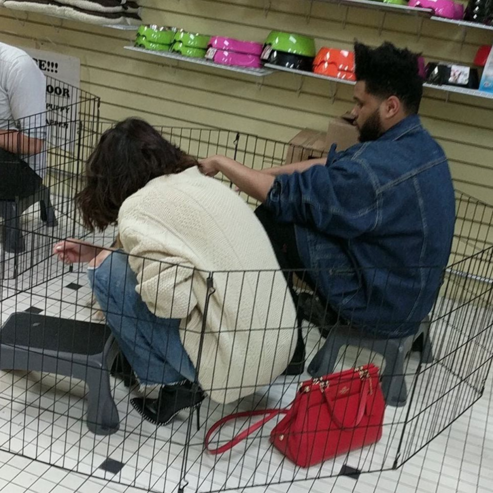 September: Selena and The Weeknd Are Seen Puppy Shopping in New York City