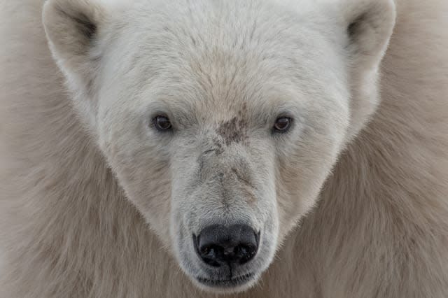 National Geographic Travel Photographer of the Year Contest