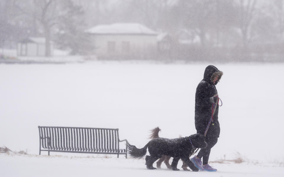 With the daytime high temperature in negative far below zero, a pedestrian leads a pair of dogs around the lake in Washington Park Monday, Jan. 15, 2024, in Denver. Forecasters predict that the frigid weather will persist until midweek in the intermountain West. (AP Photo/David Zalubowski)