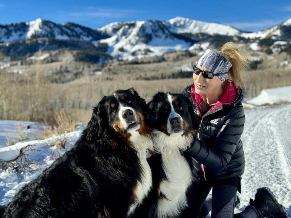 Susan Fredston-Hermann is pictured with her two Bermese Mountain dogs — Sasha and Mocha. Courtesy Susan Fredston-Hermann