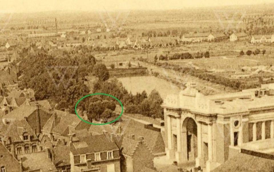 The chestnut tree by the Menin Gate memorial, which was inaugerated in 1927.  - Facebook