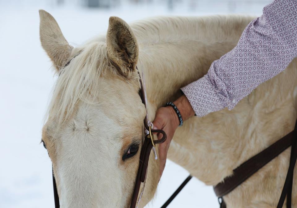 Trevor Howard talks about his horse Timmy while practicing for an upcoming skijoring competition in Heber City on Tuesday, Feb. 6, 2024. | Jeffrey D. Allred, Deseret News