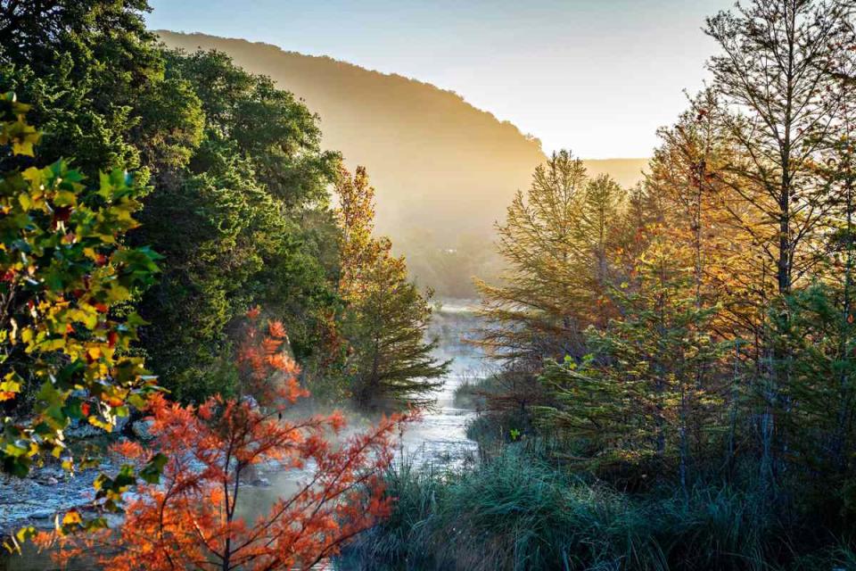 Fall foliage over the Sabinal River