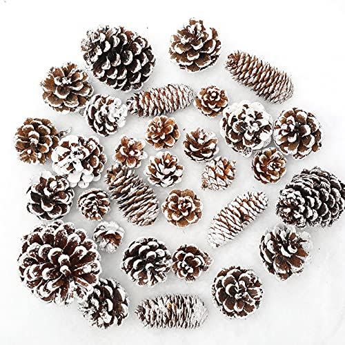 27) Snowy Pine Cones