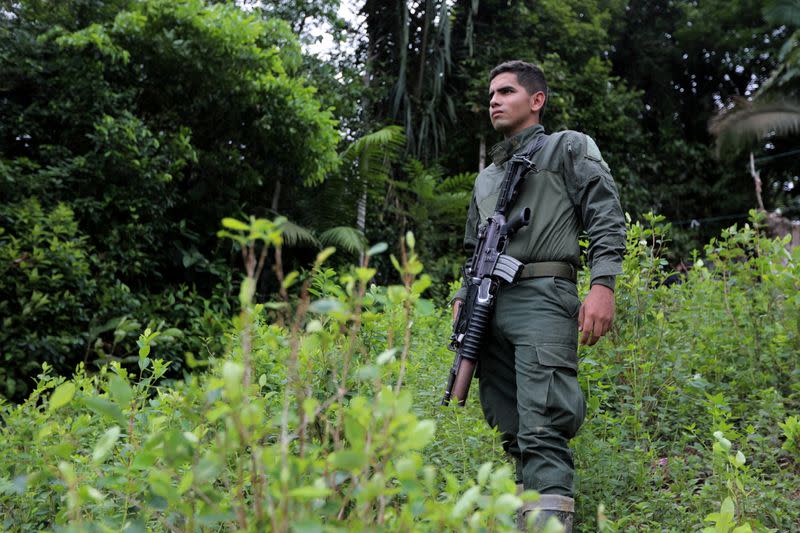 FILE PHOTO: Anti-narcotics police stands guard during an eradication operation at a coca leaves plantation in Tumaco