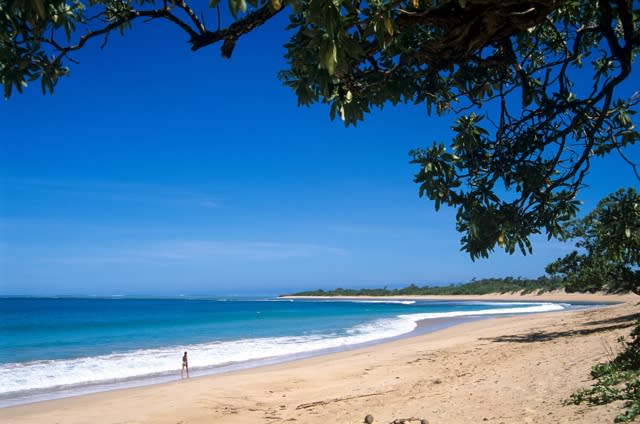 Holidaymakers find human head on Fiji tourist beach