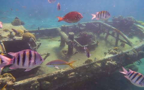 A tugboat wreck dive in Curacao - Credit: Getty