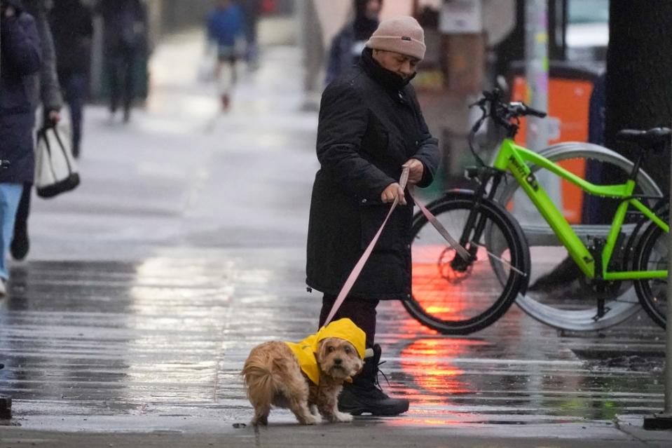 New York City is set to see between 2 and 3 inches of rain this weekend, starting with early rainfall Saturday that drenched one pet owner on the Upper West Side. Robert Miller