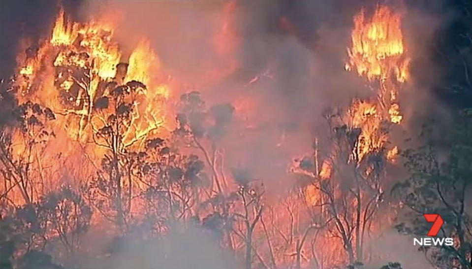 Properties have been lost to a large fire sparked by lightning in a state forest in Victoria’s east. Photo: 7 News