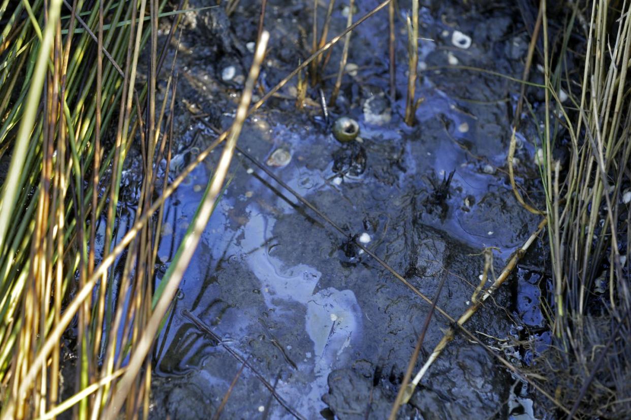 <span class="caption">Oil sheen in a Louisiana marsh that was heavily affected by the 2010 BP spill, Sept. 27, 2013.</span> <span class="attribution"><a class="link " href="http://www.apimages.com/metadata/Index/Gulf-Oil-Spill-Trial/9642f222552d4a7b87c4782c1641c703/24/0" rel="nofollow noopener" target="_blank" data-ylk="slk:AP Photo/Gerald Herbert;elm:context_link;itc:0;sec:content-canvas">AP Photo/Gerald Herbert</a></span>