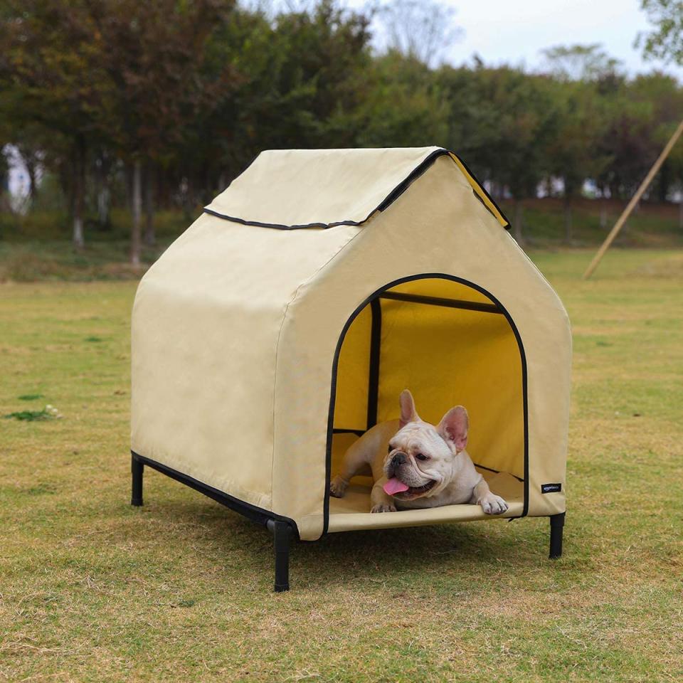 best dog houses amazon basics elevated portable house