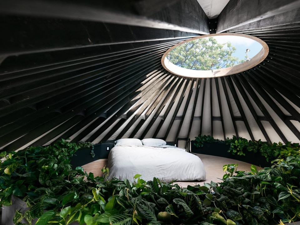 The lofted bedroom with greenery and skylight inside Zach Both's yurt