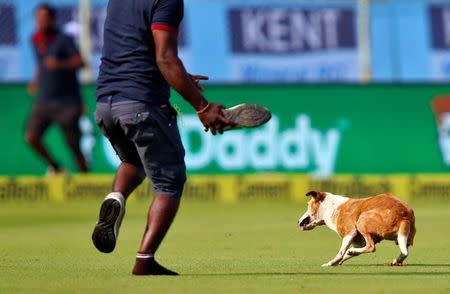 Cricket - India v England - Second Test cricket match - Dr. Y.S. Rajasekhara Reddy ACA-VDCA Cricket Stadium, Visakhapatnam, India - 17/11/16 - A ground staff member chases a dog in the field. REUTERS/Danish Siddiqui