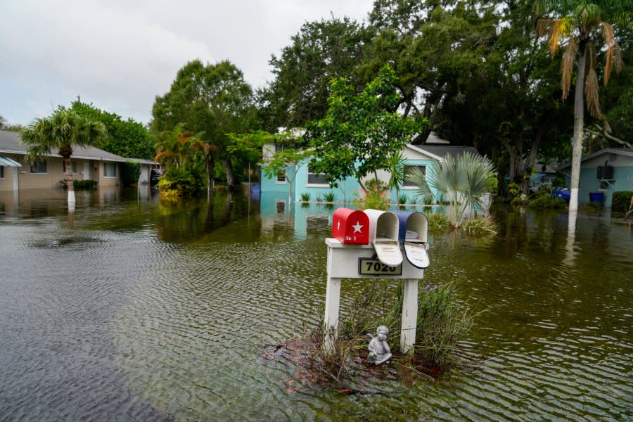 A mailbox stands on Hibiscus Avenue South stands in floodwaters as Hurricane Idalia makes landfall in the Big Bend region of Florida’s Gulf Coast, Wednesday, Aug. 30, 2023, in Pasadena, Fla. (Martha Asencio-Rhine/Tampa Bay Times via AP)