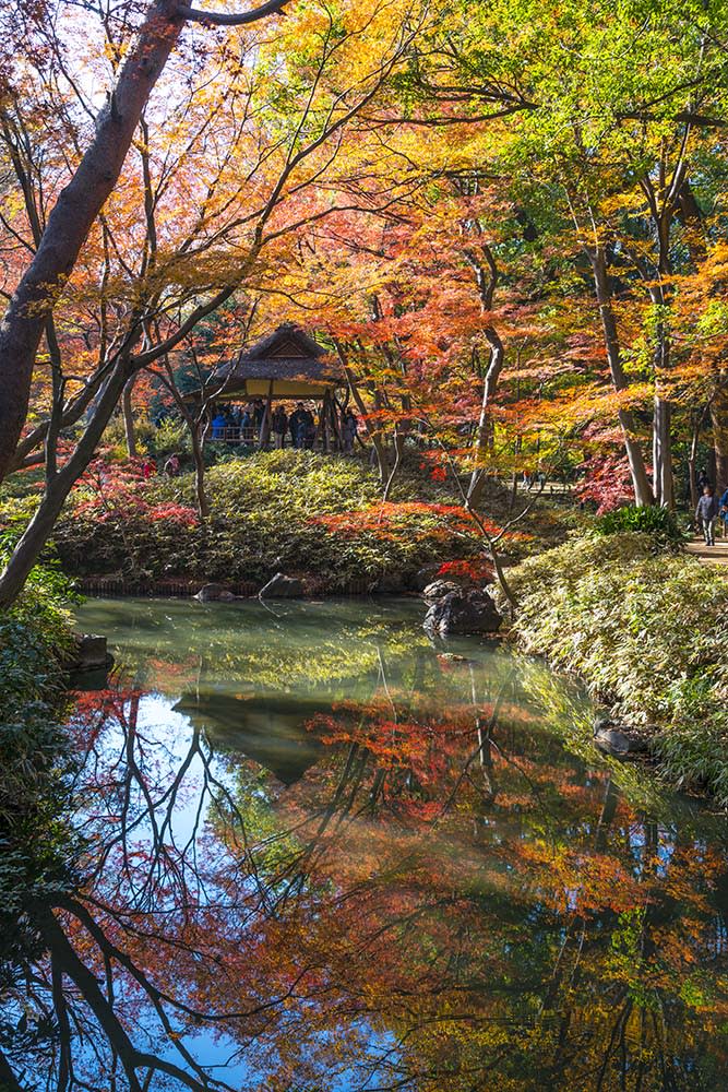 六義園（Image Source : Getty Creative）