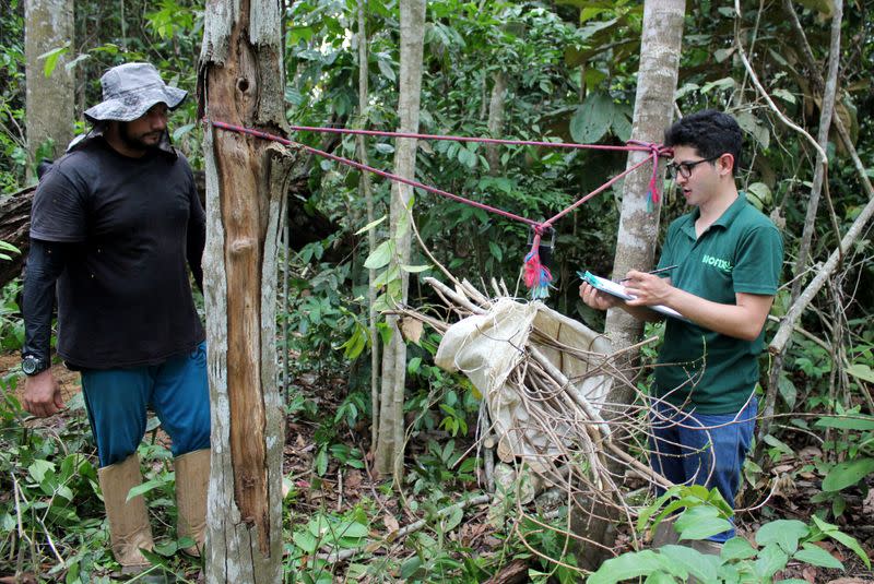 Day laborer Ivan Batista Queiroz and forestry student Mateus Sanquetta weigh tree branches on a parcel of Amazon rainforest in Itapua do Oeste