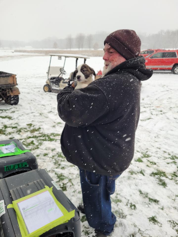 Dozens of dogs survived a plane crash in Wisconsin.  / Credit: Humane Animal Welfare Society/Facebook