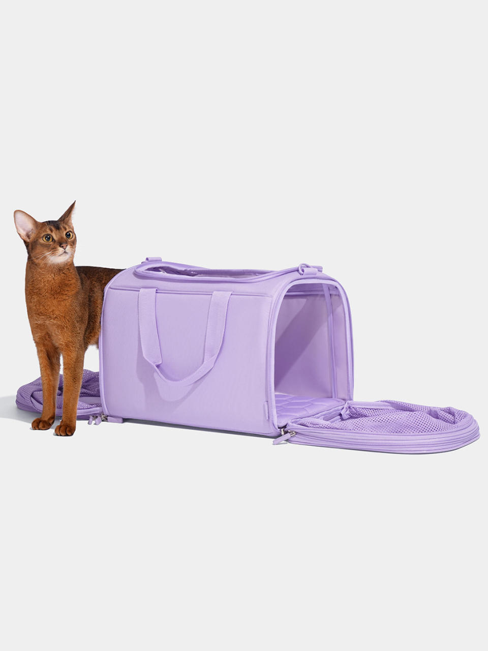 <p><a href="https://vetreskanyc.com/collections/dog-travel/products/violet-pet-carrier" rel="nofollow noopener" target="_blank" data-ylk="slk:Shop Now;elm:context_link;itc:0;sec:content-canvas" class="link ">Shop Now</a></p><p>Violet Pet Carrier</p><p>vetreskanyc.com</p><p>$79.99</p>