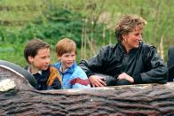 <p> Soaking wet after a log flume with Princess Diana. </p>