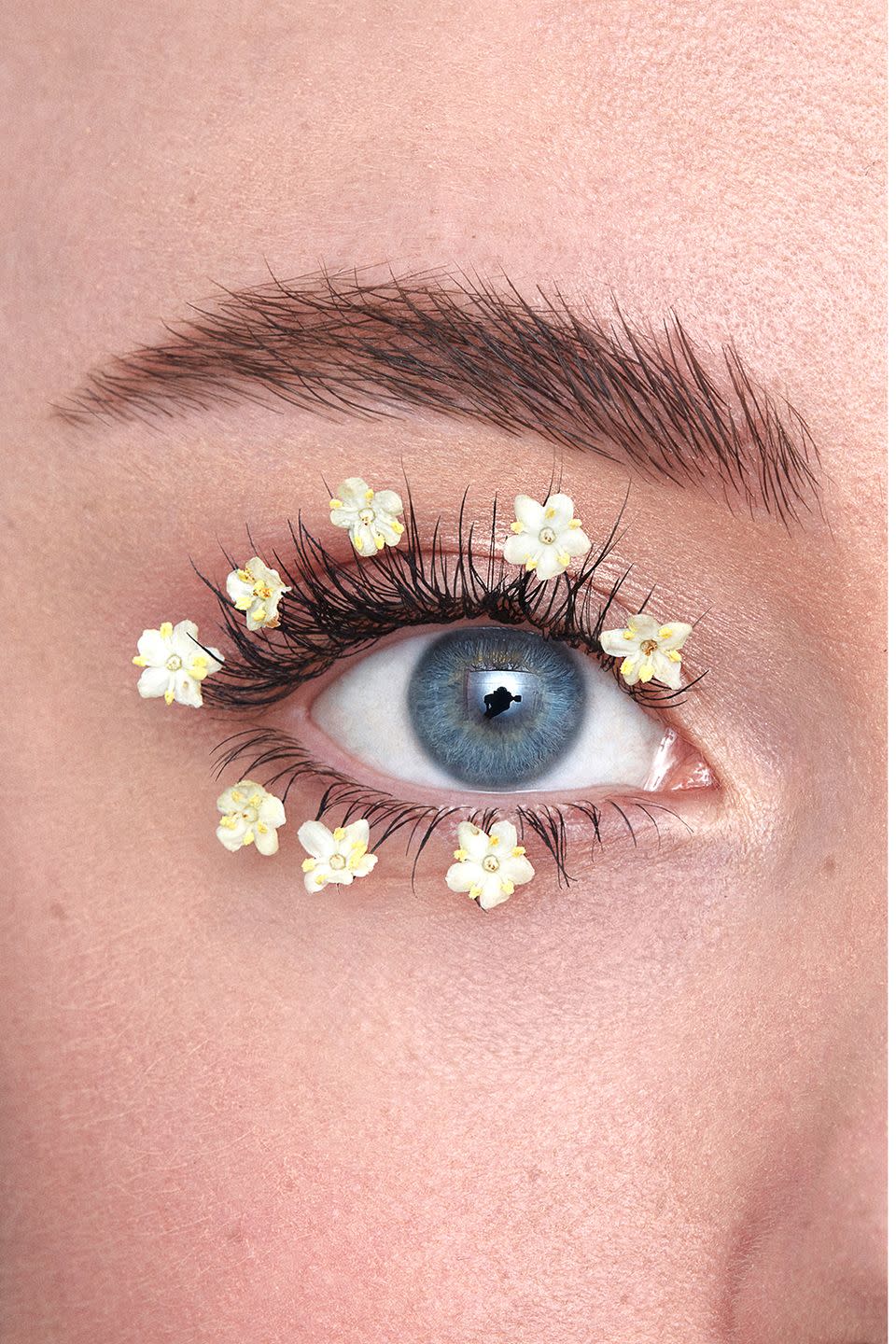 5) These Blooming Lashes for Eye Art