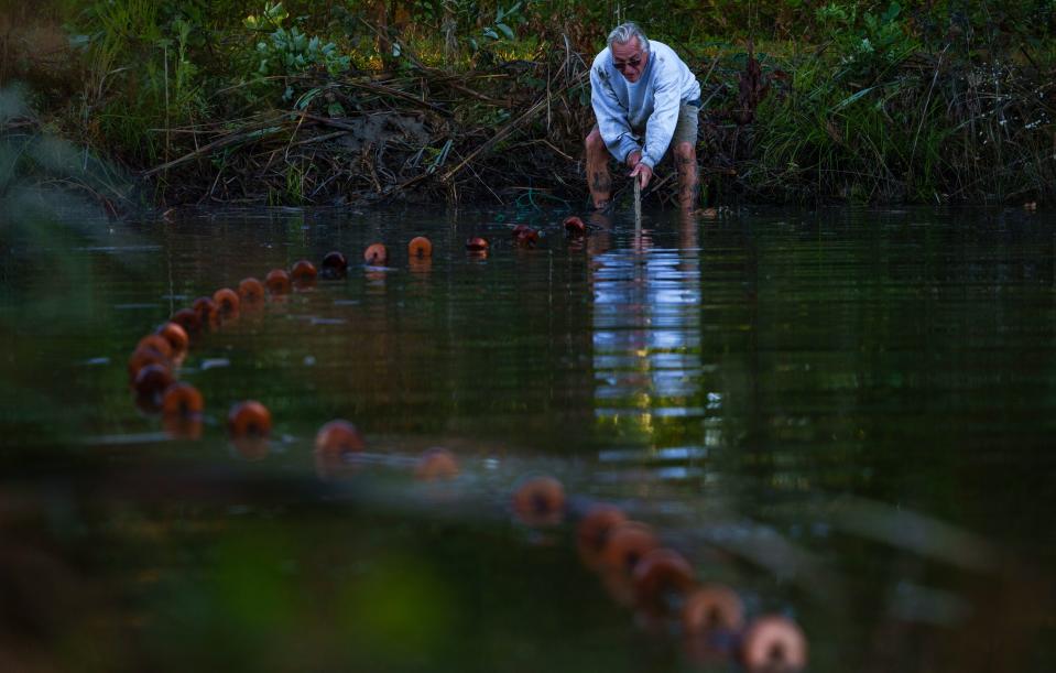 David Cox, a local Crawford County fisherman, lends a hand Monday, Oct. 2, 2023, seining a tilapia pond owned and operated by Caplinger's Fresh Catch Seafood Market.