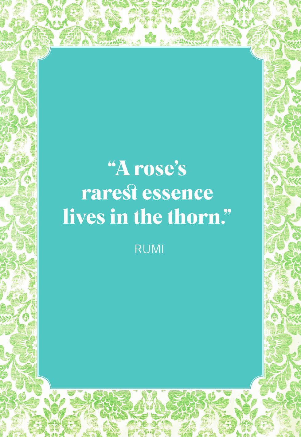 flower quotes roses