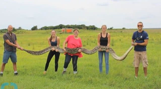 The snake has plagued the park in recent decades. Photo: Supplied