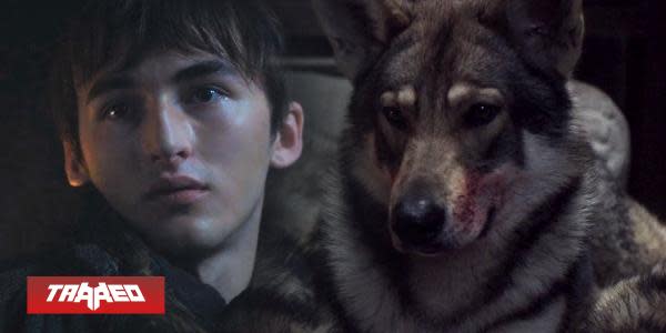 Fallece de cáncer Odín, el perro que interpretó a Summer en Game of Thrones