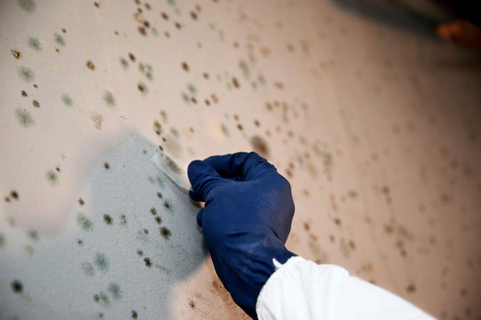 Kelly Jackson, owner and president of AJ Development Group, takes a sample of mold at a job site on North 41st Street.