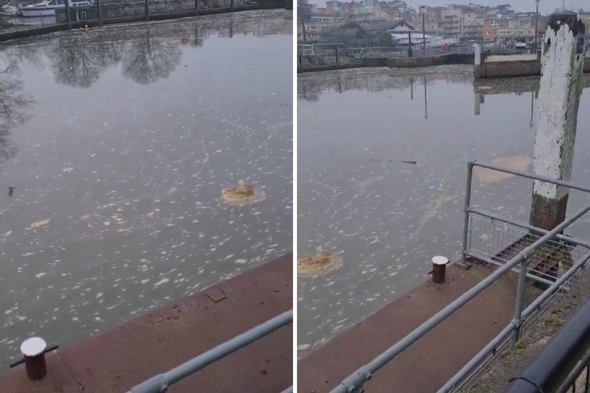 The apparent sewage at Teddington Lock (Supplied)