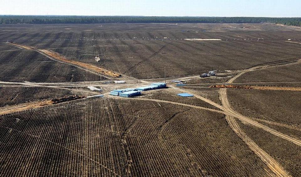 Neighbors say mega-farms like this 3,700-acre potato farm in Aiken County threaten the water supply. Such growing operations clear forested land to the horizon line to make room for crops.