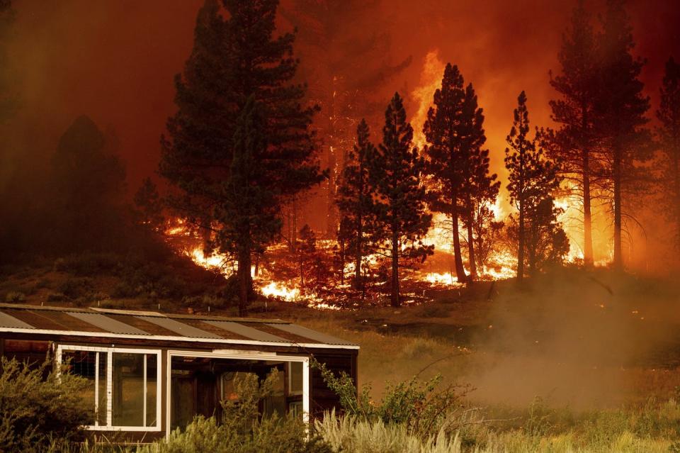 A greenhouse surrounded by dry brush with fire in the forest on the hill behind it