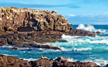 <p>Eight photographers and naturalists join guests aboard the National Geographic Endeavour on Lindblad Expeditions’ new 17-day <a rel="nofollow noopener" href="http://www.expeditions.com/destinations/galapagos/galapagos-photo-expedition/" target="_blank" data-ylk="slk:Gala?pagos Photo Expedition;elm:context_link;itc:0;sec:content-canvas" class="link ">Gala?pagos Photo Expedition</a>. The trip includes a workshop in Guayaquil, Ecuador, daily assignments, and seminars, along with wildlife-viewing adventures.<em> Dec. 2016 and Nov.–Dec. 2017, from $13,180.</em></p>