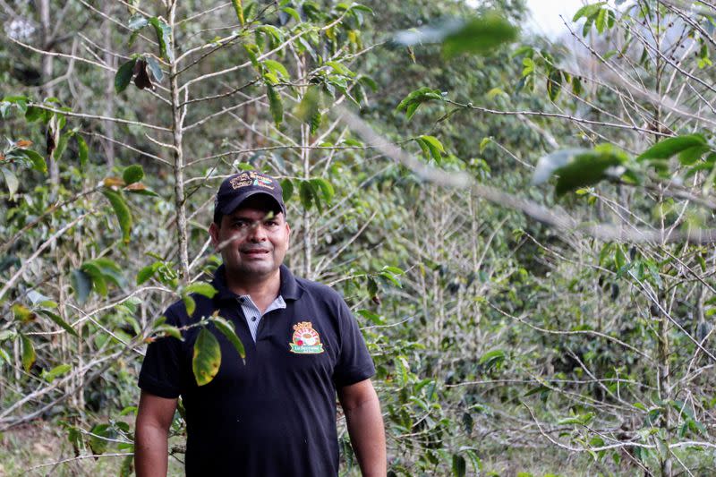 Arnobis Romero, a colombian coffee roaster, poses for a photo in the middle of a coffee plantation in San Lucas