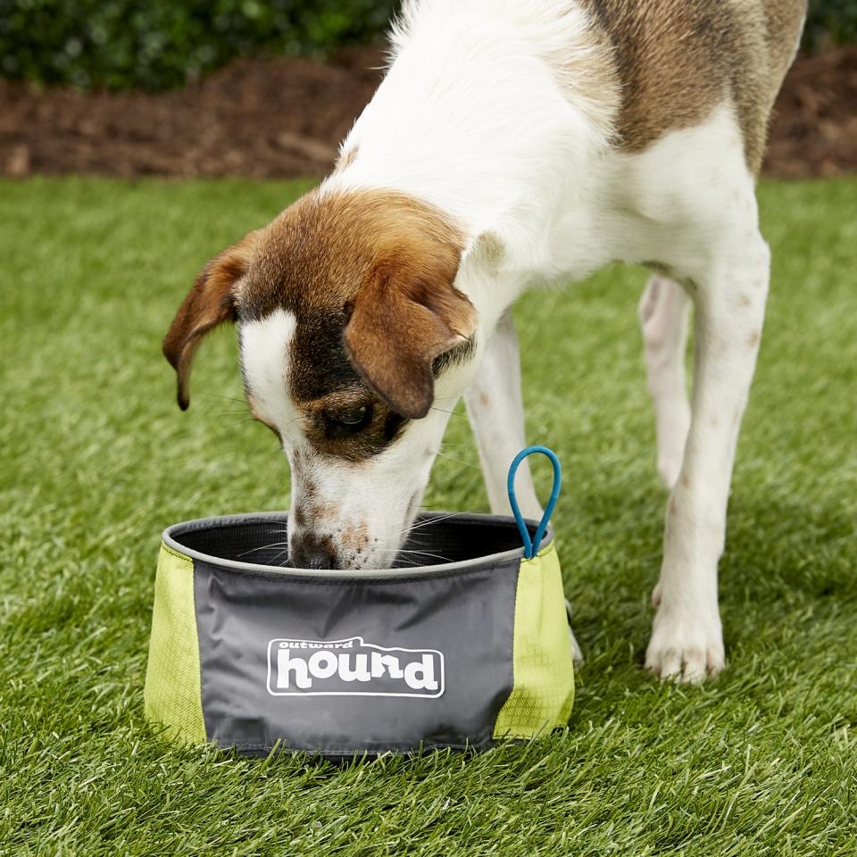 Outward Hound Port-A-Bowl Pet Bowl (Photo: Chewy)