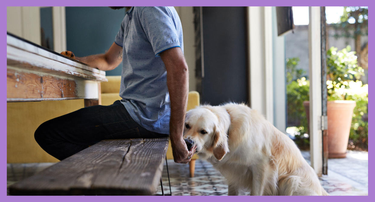 Beyond not having the proper nutrients for your companion animals, some people food can actually be quite harmful. (Photo: Getty Images)