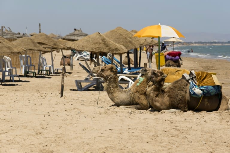 Camels sit on an empty beach in the resort of Gammarth in northeast Tunisia, a few days after a deadly attack on tourists in Port El Kantaoui by a jihadists gunman, July 2, 2015