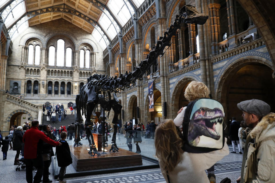 Visitors look a Dippy the diplodocus at the Natural History Museum in London, Britain January 4, 2017. REUTERS/Stefan Wermuth