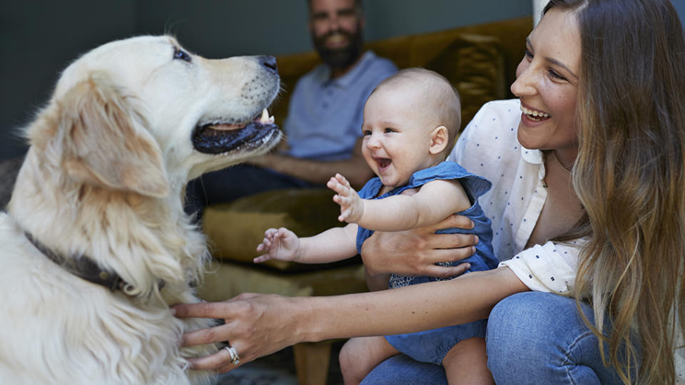 Mother and new born baby playing with Puck dog, father in background