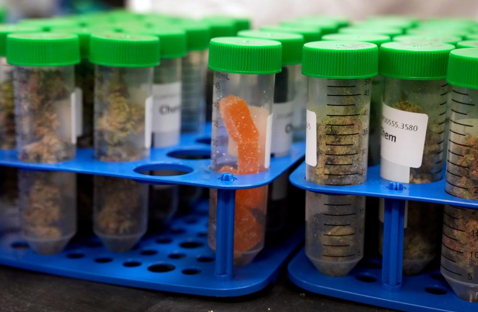 Apollo Labs, a marijuana testing facility in Scottsdale, can test for microbial contaminants, residual solvents, pesticides, heavy metals, herbicides, mycotoxins, terpenes, and potency.