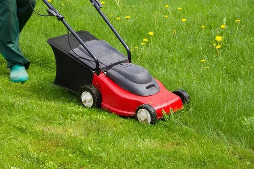 man mowing lawn