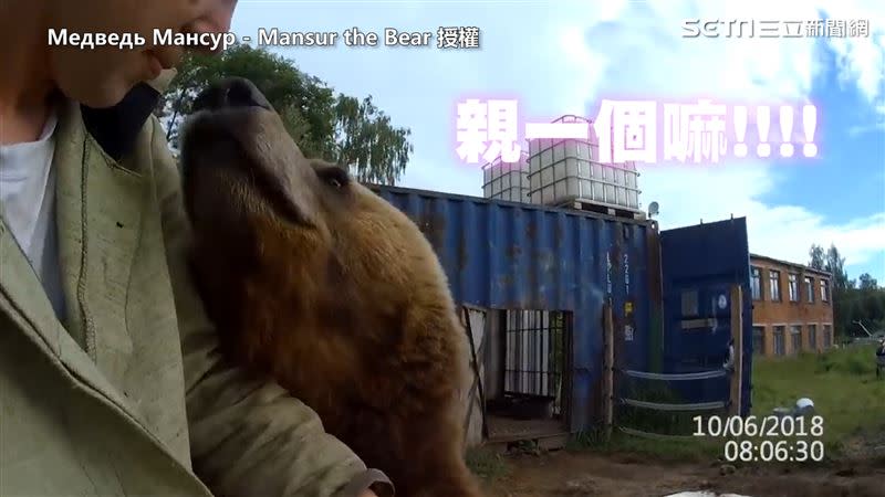 Mansur不僅靠在Andrey肩膀上，還時不時討kiss。（圖／Медведь Мансур - Mansur the Bear 授權）