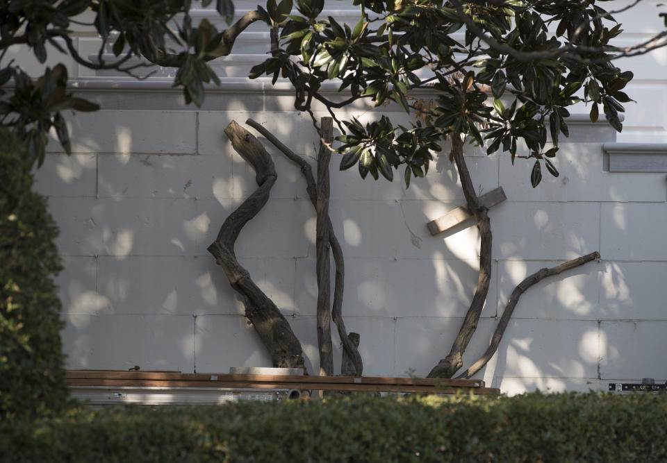 <p>What is left of the wisteria after is was cut back along South Portico’s news renovated staircase is seen at the White House in Washington, Tuesday, Aug. 22, 2017, during a media tour. (Photo: Carolyn Kaster/AP) </p>