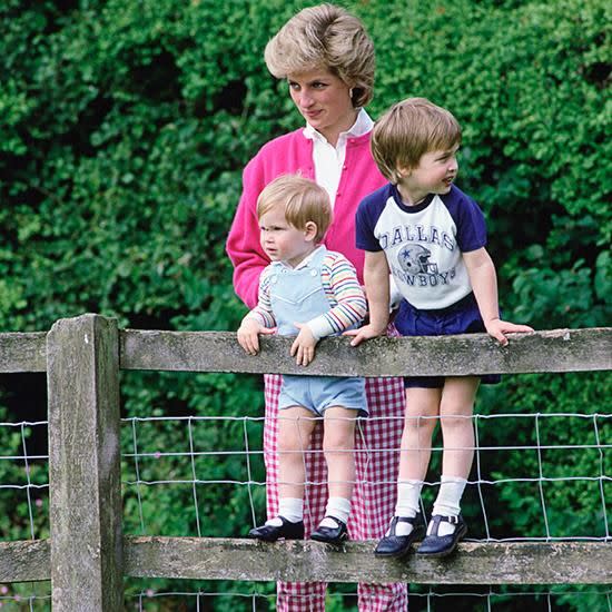 The princes opened up for an ITV documentary. Photo: Getty Images