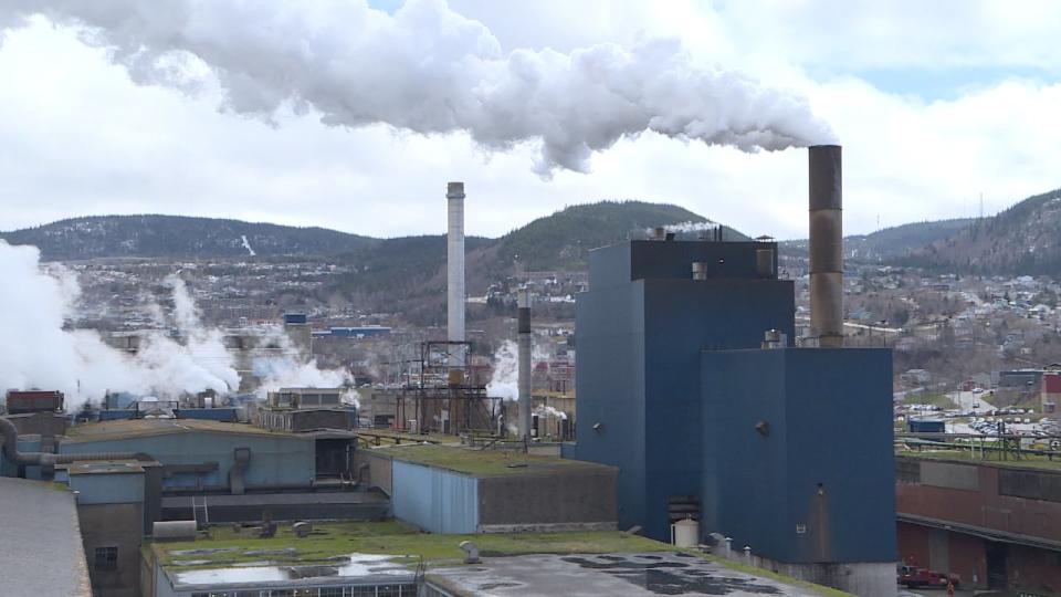 Corner Brook Pulp & Paper, owned by Montreal-based company Kruger, has put in a request to harvest wood near the town's water supply.  (Colleen Connors/CBC - image credit)