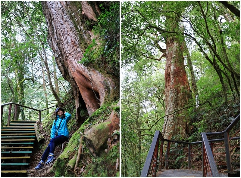 桃園拉拉山｜谷點咖啡民宿