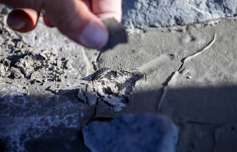 Glacial mud found in Greenland