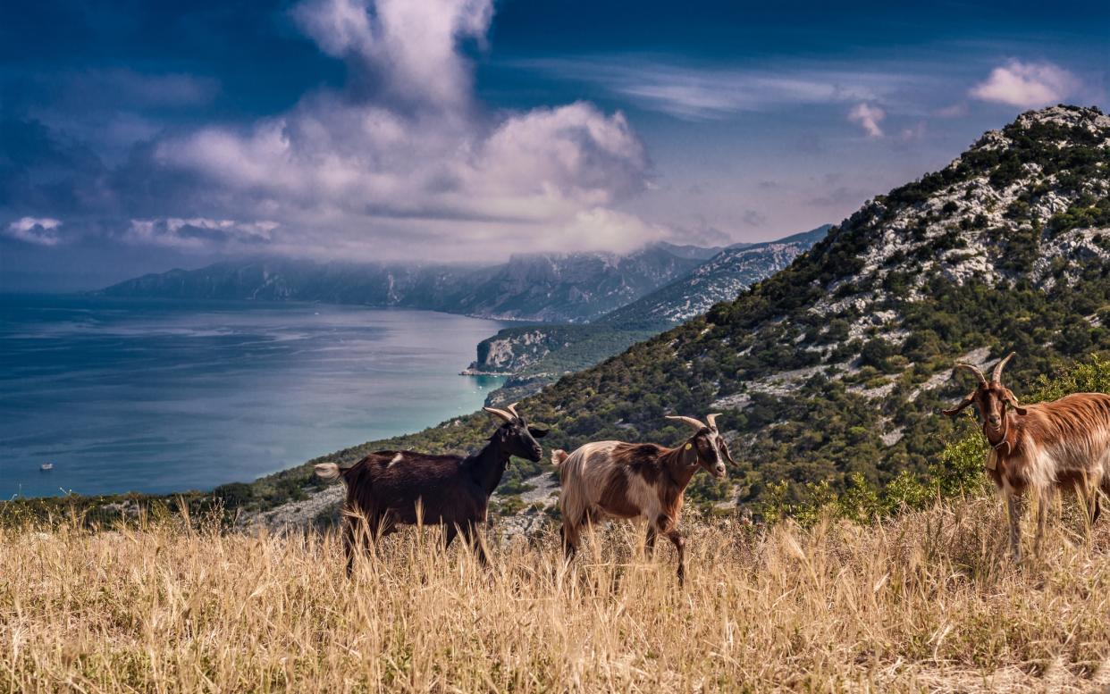 "I was searching for a defiantly rustic backwardness – goats bleating on hillsides, stone houses crumbling on the peripheries of vaguely cultivated fields, granite bluffs punching the sky" - getty